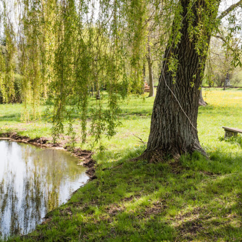 Entwicklung von Natur und Landschaft