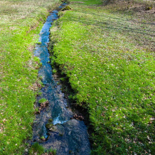 Hochwasserschutz und Fließgewässerentwicklung