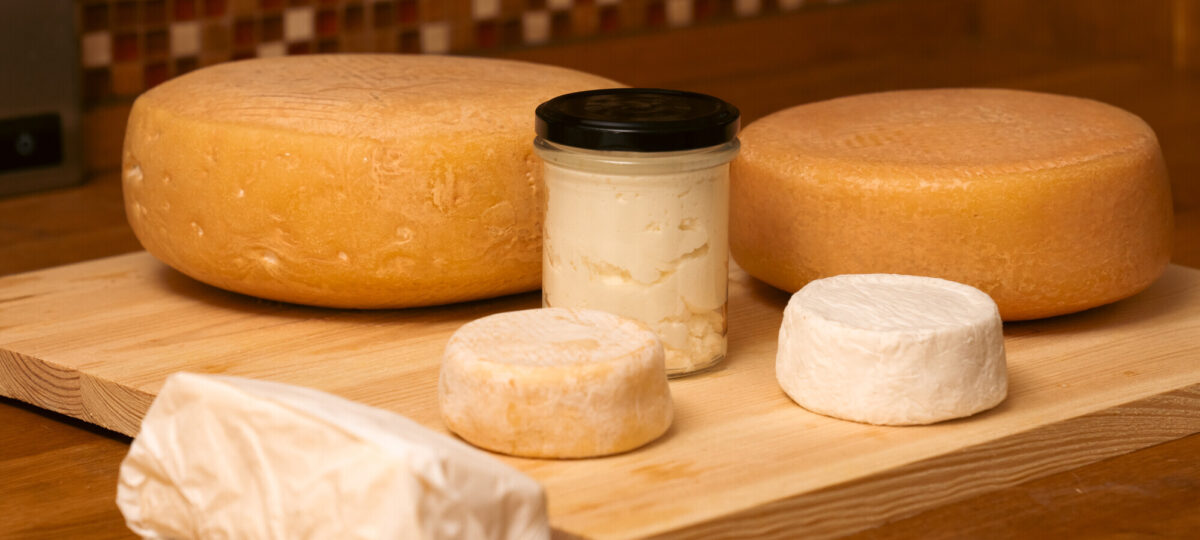 Bio-Milch kann mehr: Thüringer Käse.