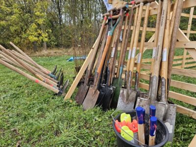 Die MItarbeiterinnen und Mitarbeiter engagieren sich für die LEG-Baumpflanzaktion.