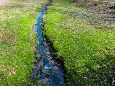 Hochwasserschutz und Fließgewässerentwicklung