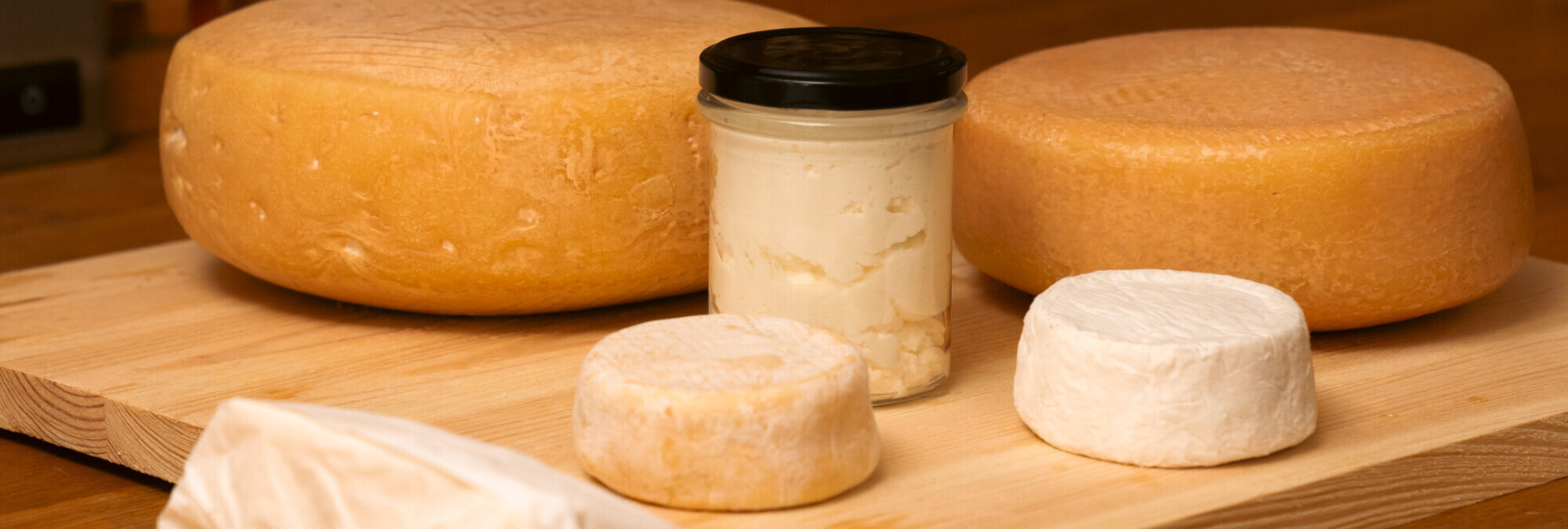 Bio-Milch kann mehr: Thüringer Käse.