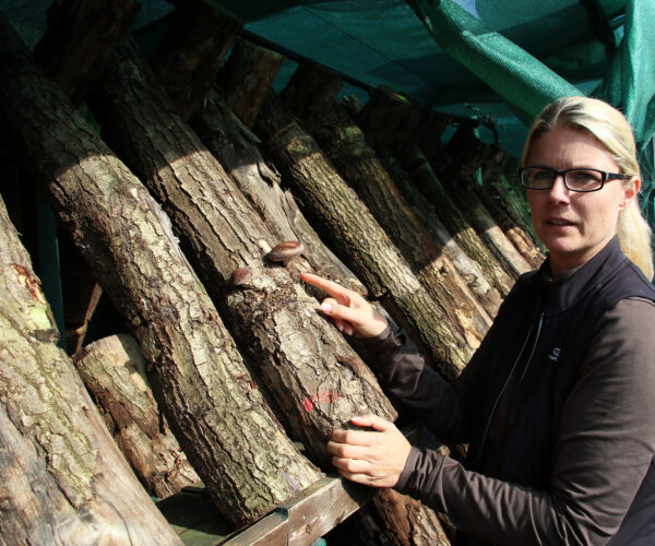 Anja Kolbe-Nelde züchtet Pilze und Trüffel in Nordthüringen