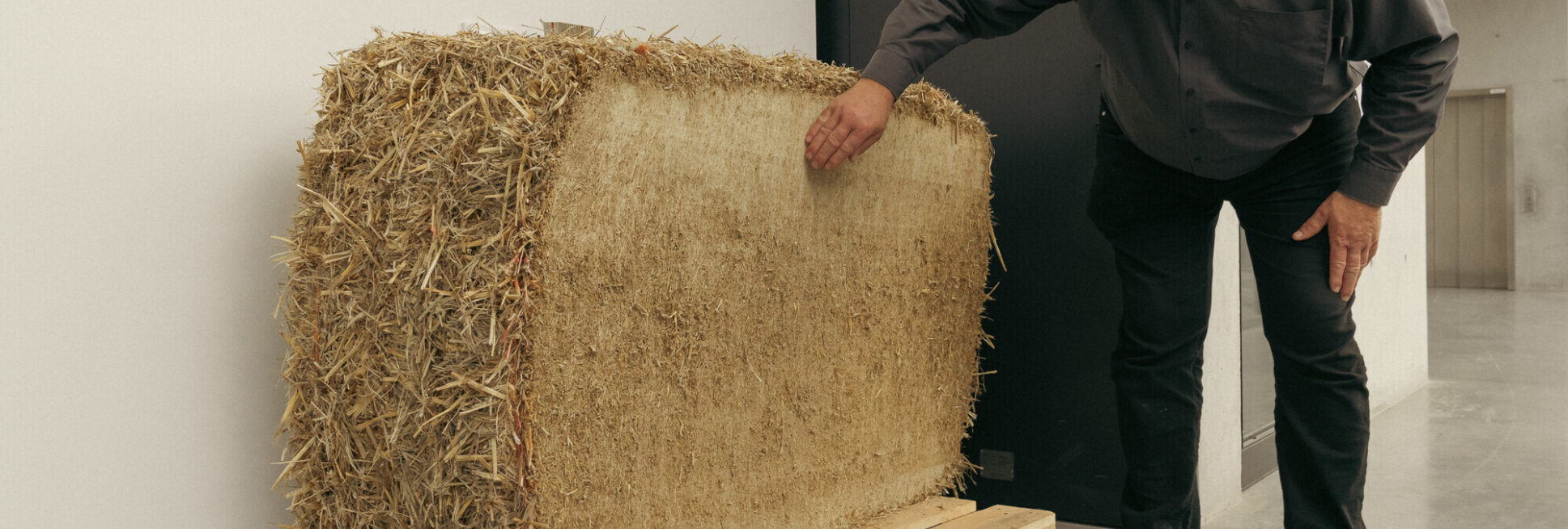 Begutachtung eines Strohballen-Produktes.