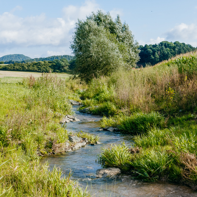 Hochwasserschutz und Fließgewässerentwicklung (im Bild: Landschaft mit Flusslauf)