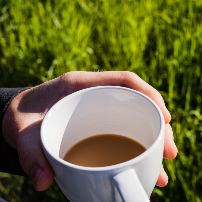 Gründungscafé (im Bild: eine Tasse Kaffee vor grüner Wiese)