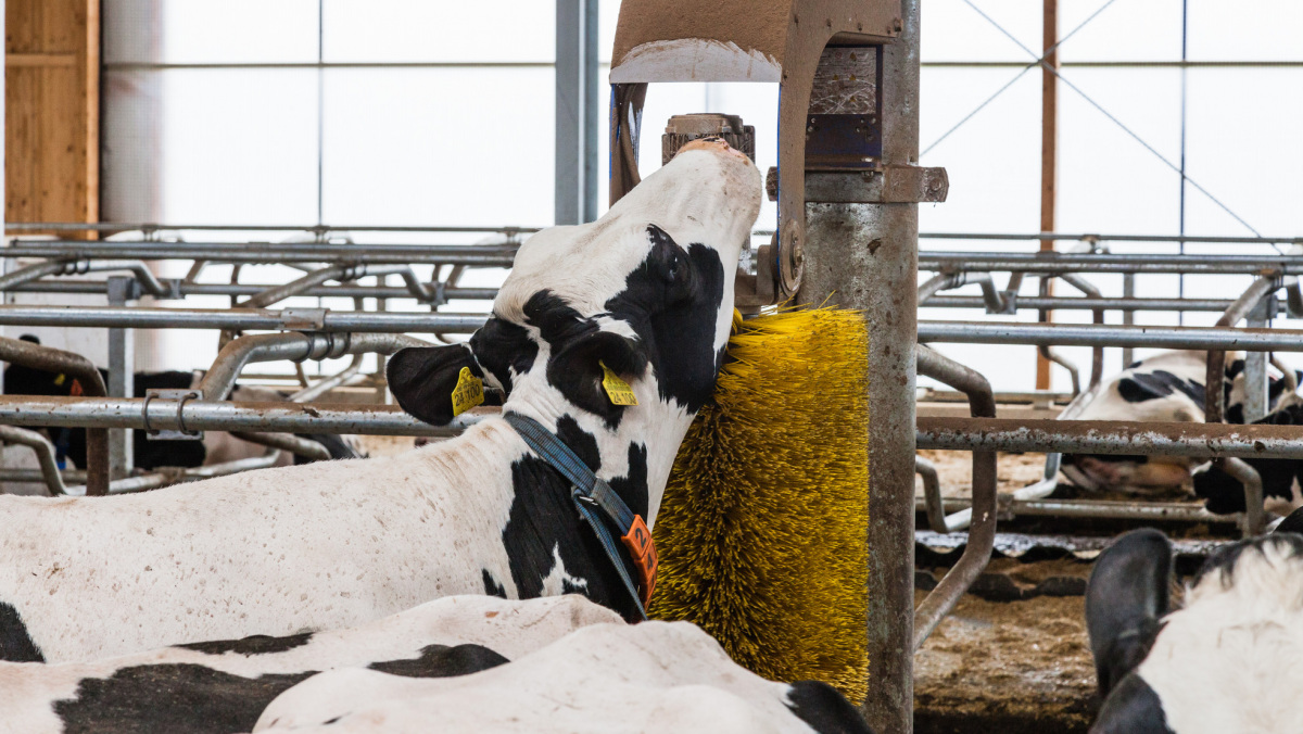 Stichtag für Investitionen in die Landwirtschaft: 31.01.2020