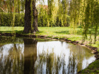 Entwicklung von Natur und Landschaft Entwicklung von Natur und Landschaft