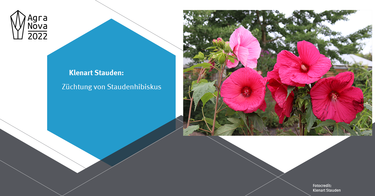 Agranova Klenart Stauden 2022